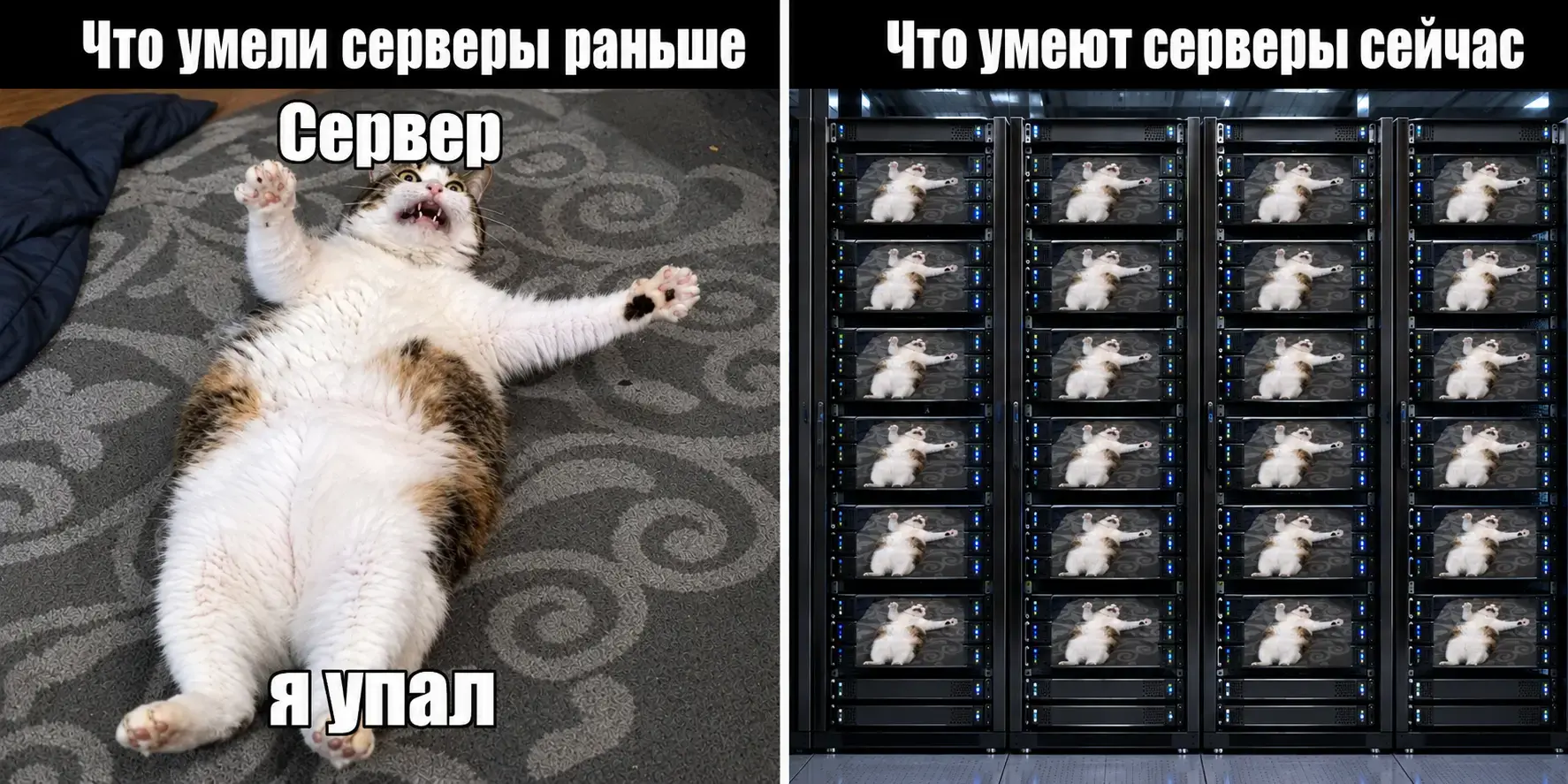 Как CPU меняет стоимость хранилища и виртуализации в ЦОД — расчеты и чек-лист перед закупкой  Изображение 1